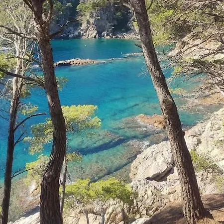 Villa Casa Con Piscina Interior En Tamariu, Calella De Palafrugell